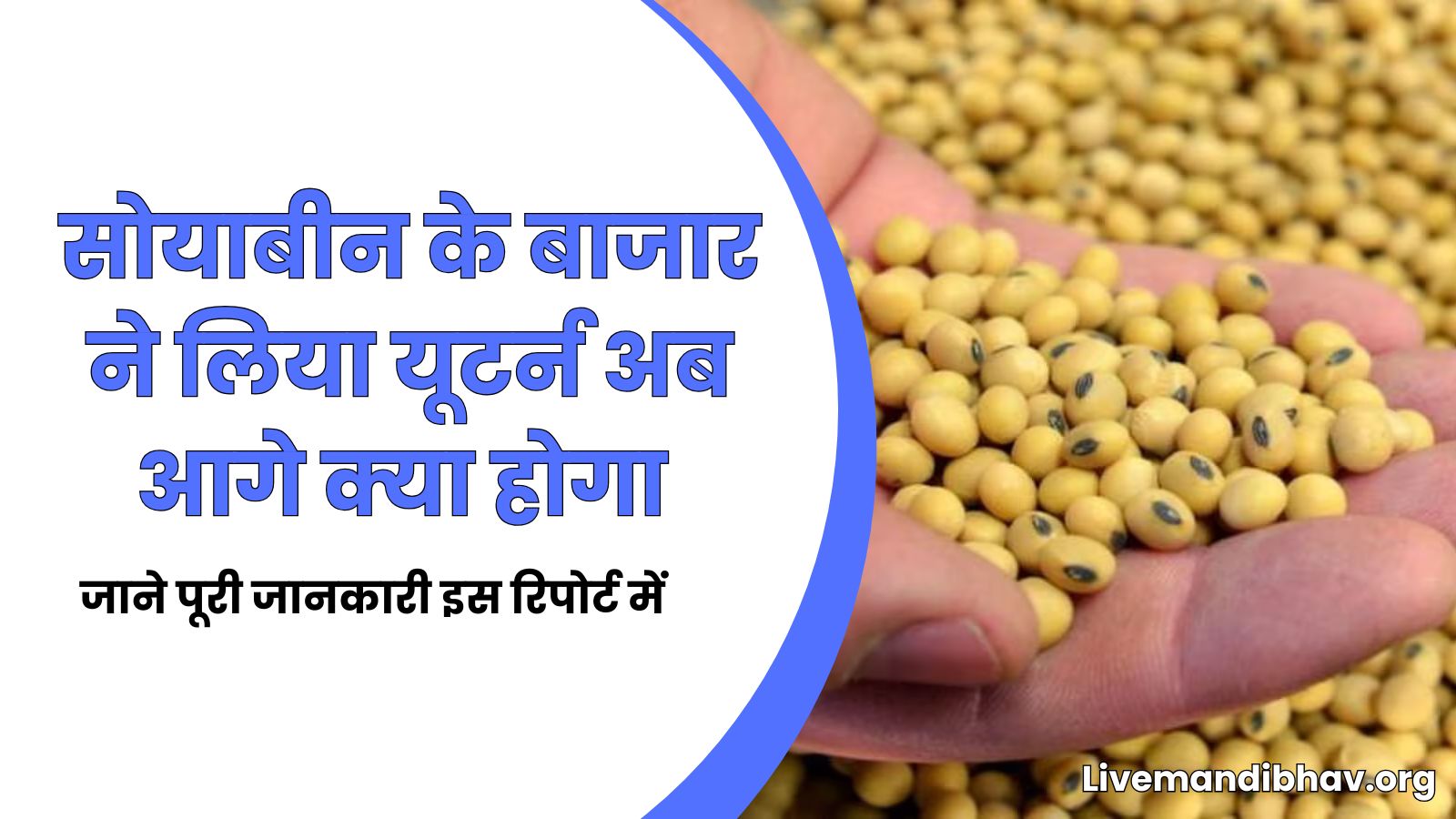 सोयाबीन के बाजार ने लिया यूटर्न अब आगे क्या होगा