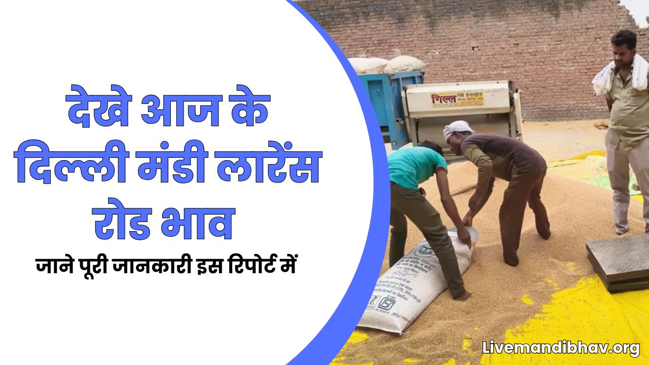 DELHI MANDI BHAV TODAY | दिल्ली मंडी लारेंस रोड भाव 14 मार्च 2026
