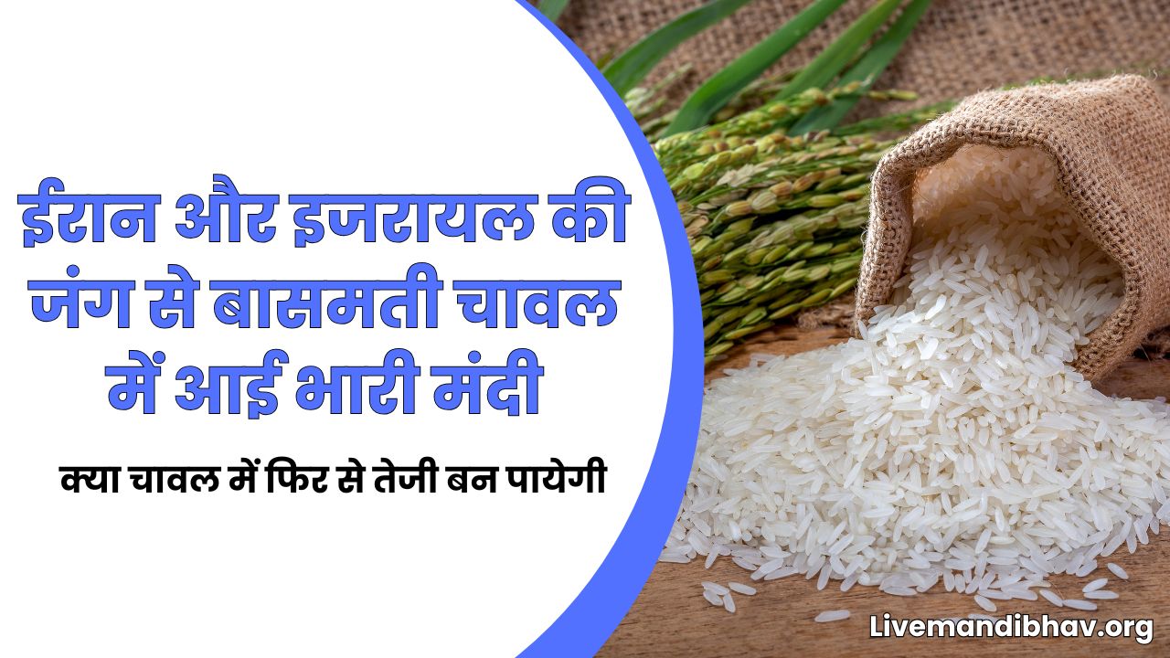 ईरान और इजरायल की जंग से बासमती चावल में आई भारी मंदी | क्या चावल में फिर से तेजी बन पायेगी