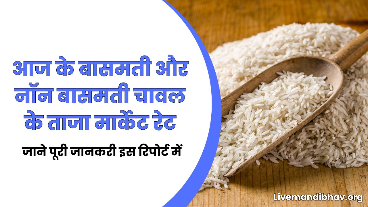 आज के बासमती और नॉन बासमती चावल के ताजा मार्केट रेट | BASMATI AND NON BASMATI RICE PRICE 09 MARCH 2026