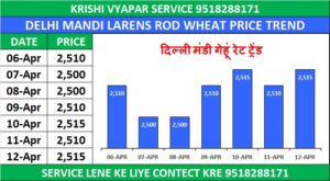 DELHI MANDI BHAV TODAY | दिल्ली मंडी लारेंस रोड भाव 13 अप्रैल 2026