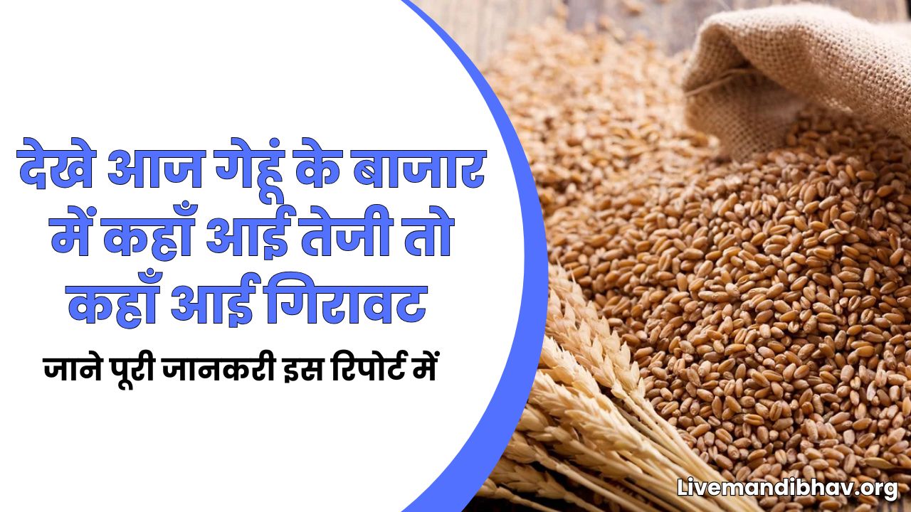 देखे आज गेहूं के बाजार में कहाँ आई तेजी तो कहाँ आई गिरावट | Gehu Mandi Rate Today 29 April 2026